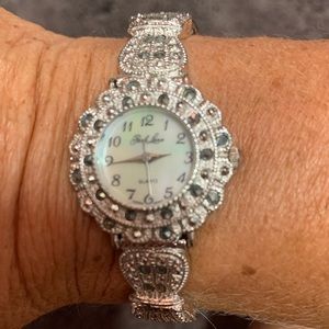 Park lane silver watch